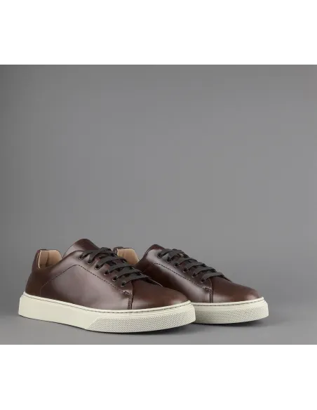 Frau Sneakers Uomo Pelle Liscia Marrone Prezzo 145,00