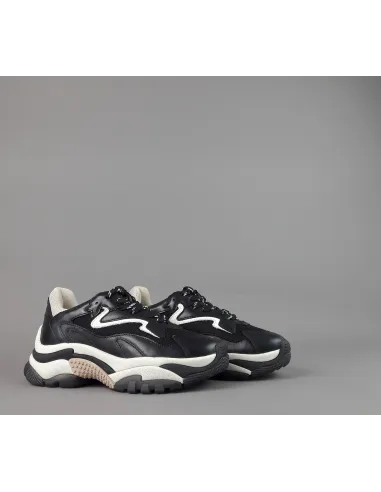 ASH /// Sneakers Donna Addict Pelle Tela Nero Prezzo 285,00