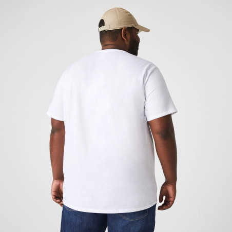 Lacoste --- T-Shirt Cotone Pima Bianco