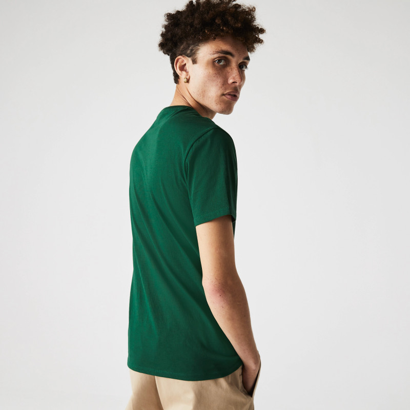 Lacoste --- T-Shirt Cotone Pima Verde Scuro