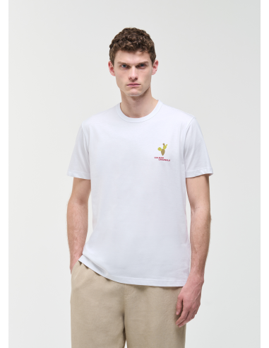 Colmar --- T-Shirt Uomo Cotone Bianco