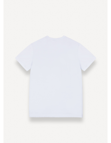 Colmar --- T-Shirt Uomo Cotone Bianco