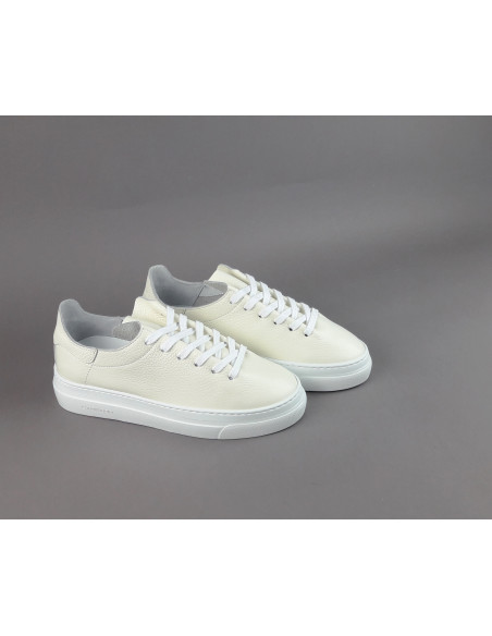 Stokton --- Sneakers Donna Pelle Martellata Avorio