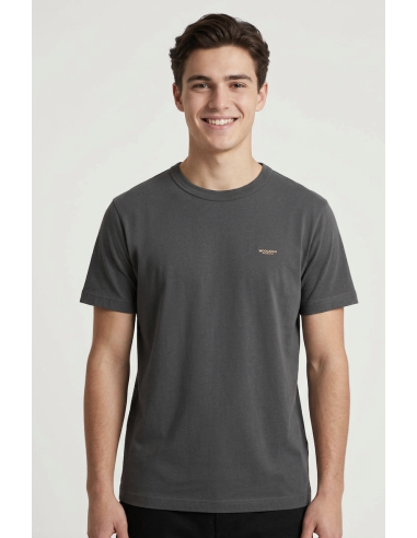 Woolrich --- T-Shirt Uomo Cotone Grigio