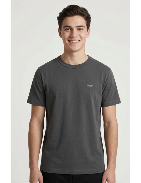Woolrich --- T-Shirt Uomo Cotone Grigio